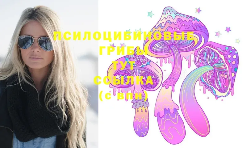 наркошоп  Красновишерск  omg tor  Псилоцибиновые грибы Psilocybe 